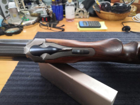 Buenas , se vende Blaser F3 de 76cm de cañón , con 5 chokes originales Blaser mas 4 choques Briley Spectrum 11