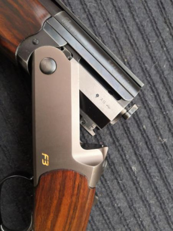 Buenas , se vende Blaser F3 de 76cm de cañón , con 5 chokes originales Blaser mas 4 choques Briley Spectrum 10