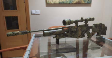 Vendo qb78 tuneada y potenciada por Javier serrano, calibre 4'5 ,con silenciador muy efectivo, tiene bombona 61