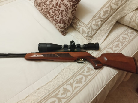 Hola pongo a la venta una hw97 en calibre 5,5,la carabina está totalmente revisada y engrasada,se ha pulido 10