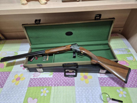 Vendo escopeta Remingt0n modelo Europa, por lesión, practicamenta nueva he tirado 125 tiros, con tres 02