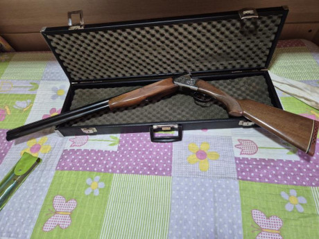Vendo escopeta Remingt0n modelo Europa, por lesión, practicamenta nueva he tirado 125 tiros, con tres 11
