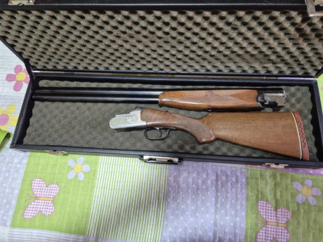 Vendo escopeta Remingt0n modelo Europa, por lesión, practicamenta nueva he tirado 125 tiros, con tres 10