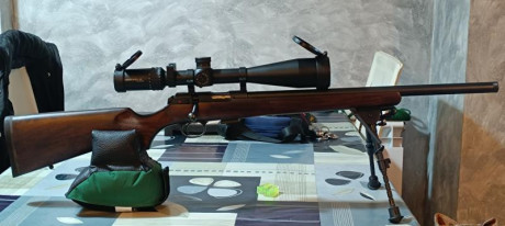 Hola amigos, estoy leyendo mucho pero por separado de nuestras queridas CZ | Brno del .22LR. Se podría 00