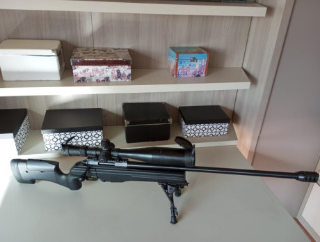 Buenos días, dado que por circunstancias personales apenas puedo darles uso, vendo estas dos armas:

- 01