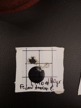 AR10 semiautomático SAVAGE, perfecto estado mecánico y estético, precisión SUBMOA (ver fotos). Construido 12