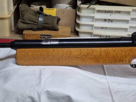  Este es el precio que se paga por la ignorancia.  Quería practicar mi carabina de aire comprimido de 21