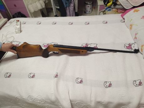  Este es el precio que se paga por la ignorancia.  Quería practicar mi carabina de aire comprimido de 20