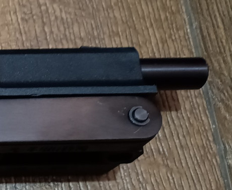 Hola a todos

El otro día encontré en casa una vieja Gamo PR-15 (1ª versión), naturalmente al probarla 20