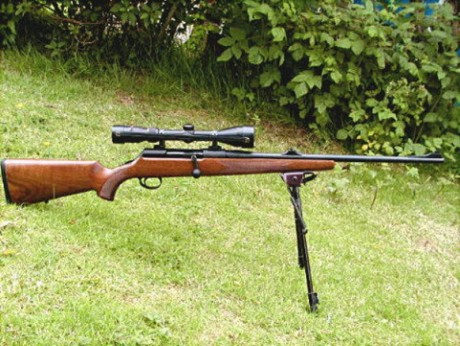  Alguno de vosotros tiene o ha tenido un Mauser M96 de cerrojo rectilineo (ojo que no hablo del sueco).
Me 12