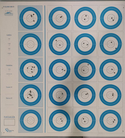 Buenas tardes.

En todos los campeonatos de Fclass rimfire que se celebran, se compite en dos modalidades; 120