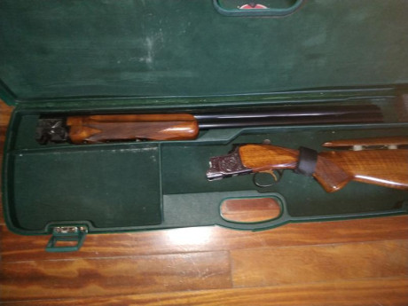 Vendo escopeta superpuesta miroku calibre 12 
Un arma de tiro pichón o caza estrellas cuatro y tres 
Cañón 02
