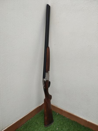 Hola.

Mi ansi 1716 ha estado seis días sumergida bajo las aguas en mi garaje debido a ese conocido evento 81