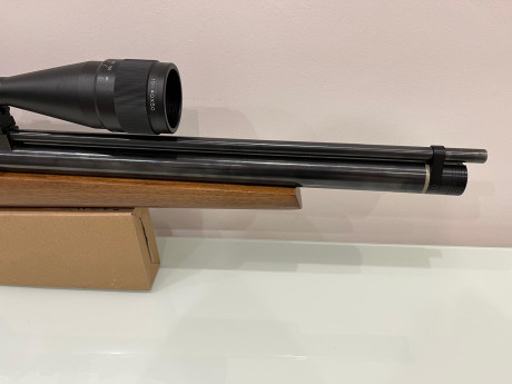 Vendo mi BAM XS-B51 en cal 5,5 por no usarlo. Lo compré para latear a larga distancia y solo tiré el día 22