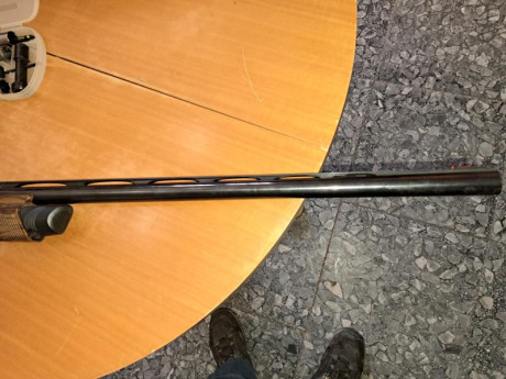 Se vende Benelli Vinci.
Bastante buen estado, plomero de lujo.
Tiene los 5 criochokes,  con llave, anillas 10