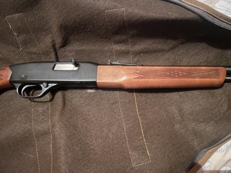 Buenas,
Pongo a la venta una carabina winchester 190 del 22lr con un visor Vanguard Endeavor RS 3,5-10X50. 02