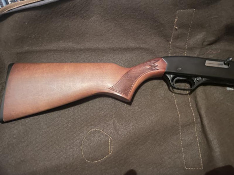 Buenas,
Pongo a la venta una carabina winchester 190 del 22lr con un visor Vanguard Endeavor RS 3,5-10X50. 01