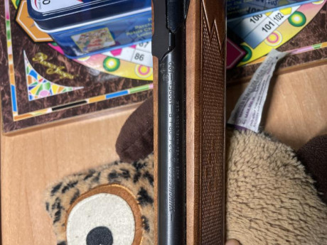 Buenas,
Pongo a la venta una carabina winchester 190 del 22lr con un visor Vanguard Endeavor RS 3,5-10X50. 00