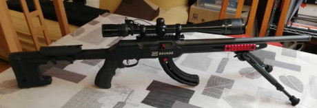 Hola,saco este nuevo tema,pues como yo,muchos de vosotros,amantes de las armas de corte tactico del 22,customizais,vestis,adornais 70
