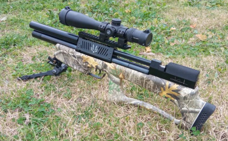 Buenas, quiero comprar una carabina del 5,5  para tirar a 25 y 50 metros. Prefiero producto nacional, 130