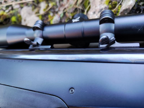 Buenos días!
Tengo desde hace unos 10 años un Argo y tengo montado un visor con bases y anillas Leupold.
Al 02