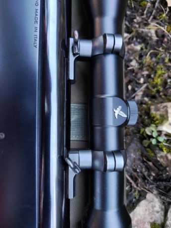 Buenos días!
Tengo desde hace unos 10 años un Argo y tengo montado un visor con bases y anillas Leupold.
Al 01