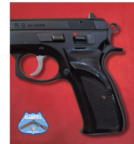 Hola a tod@s, por favor alguien me podría decir donde encontrar cachas originales para la cz 75, no las 20