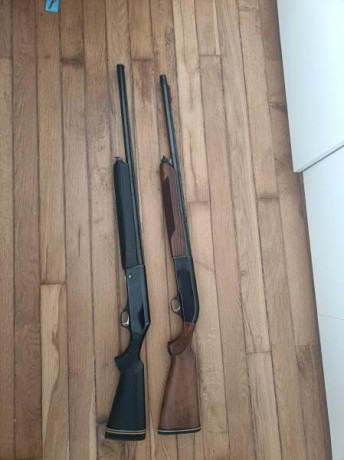 Buenas tardes.


Un buen amigo vende estas 2 escopetas. Fabarm y Beretta modelos brescia y ellegi.

Tienen 01