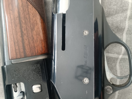 Buenas tardes.


Un buen amigo vende estas 2 escopetas. Fabarm y Beretta modelos brescia y ellegi.

Tienen 12