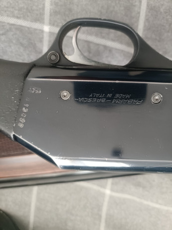 Buenas tardes.


Un buen amigo vende estas 2 escopetas. Fabarm y Beretta modelos brescia y ellegi.

Tienen 11