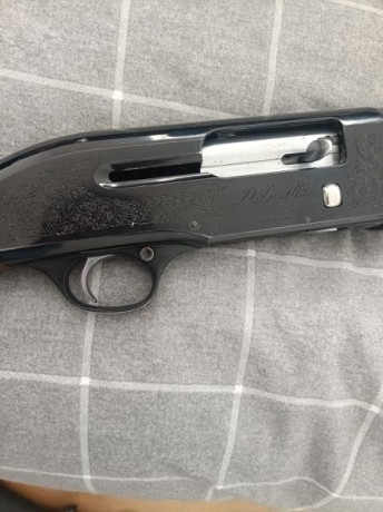 Buenas tardes.


Un buen amigo vende estas 2 escopetas. Fabarm y Beretta modelos brescia y ellegi.

Tienen 10
