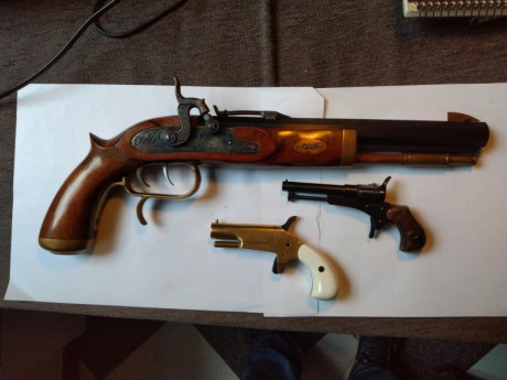 HOLA, VENDO LOTE DE AVANCARGA CON LAS SIGUIENTES ARMAS:
-PISTOLA PATRIOT DE ARDESA 
-PISTOLA DERINGER 00