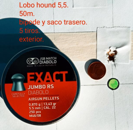 Buenas noche, a ver si nos mojamos un poco y perdemos los perjuicios de las marcas.
que carabina de marca 11