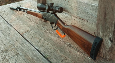 Buenas noche, a ver si nos mojamos un poco y perdemos los perjuicios de las marcas.
que carabina de marca 61