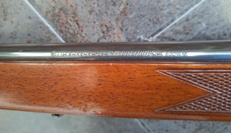 Busco rifle en 7 mm RM o 300 wm. Preferiblemente 7 mm RM.
Lo busco con cualquiera de las acciones M98 100