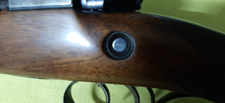 Busco rifle en este calibre de cerrojo tipo Santa Barbara, Mauser, Sako, Tikka, Bergara, etc

Por favor 110