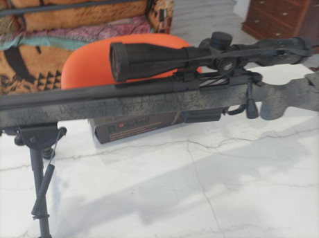 Se vende solo rifle con las bases 01