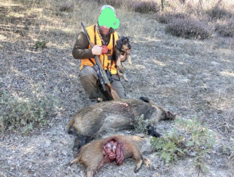 Muy buenas a todos, 
Ayer estuve en una montería y fallé un jabalí cantado....
Digo cantado, pues el puesto 170