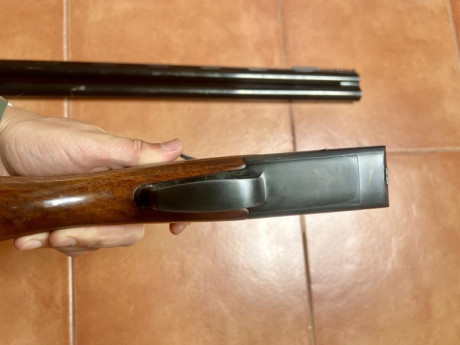 Vendo superpuesta laurona del calibre 12 con polichoques y cañones ventilados. 

La escopeta esta bien 20