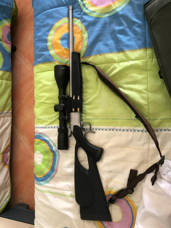 Buenos días, compañeros.

Una pregunta quizás tonta... donde lleváis los cartuchos cuando usáis un rifle 20