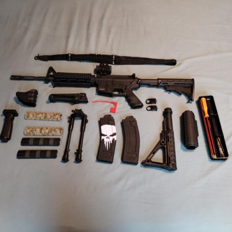 Se vende Chiappa Mfour M4 en calibre 22lr. Arma totalmente fiable dispara cualquier clase de munición 00