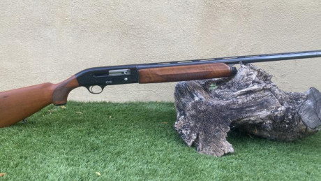 Vendo Beretta A-302 cal. 12/70. Tres estrellas.

Arma incombustible, fiable, segura y de calidad más que 01