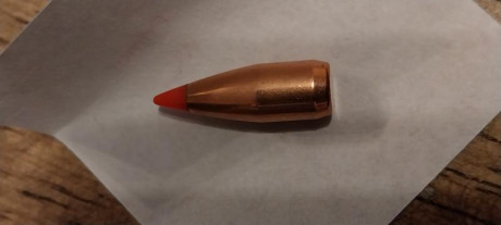 Vendo 256 puntas del.224 de 40 greis Hornady V-Max en Madrid.
 70€ portes no incl 00