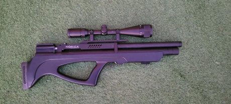 500€ Envío incluido o cambio pistola 10metros

 :duel-guns: Visor incluido gamo con pararelaje 4x16x50

(poquísimo 02