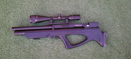 600€ Envío incluido o Cambio pistola PCP 10Mtrs

:duel-guns: Visor incluido gamo con pararelaje 4x16x50

(poquísimo 01