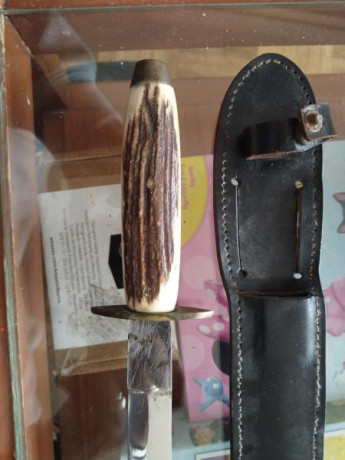 Hola vendo está daga o puñal inox con funda de piel y mango de hueso no tiene filo el precio 35€ más portes 00