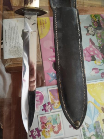 Hola vendo está daga o puñal inox con funda de piel y mango de hueso no tiene filo el precio 35€ más portes 12