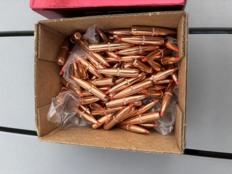 Se venden 90 puntas Hornady por 45€.Estan en Barcelona. 01