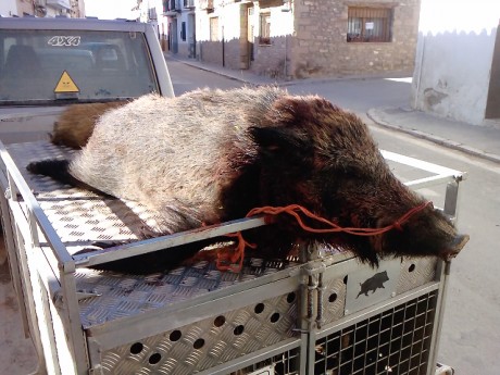   LOS ALMUERZOS DE CAZA MENOR NO CUENTAN  

Los veteranos ya sabéis como funciona esto, pero por si acaso 02