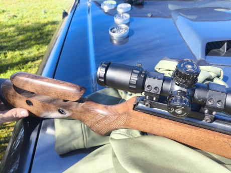 Hola a todos!

Tengo una Fenix 400 compact con un visor Leapers utg 3-12x44,montado con una montura monopieza.

La 01